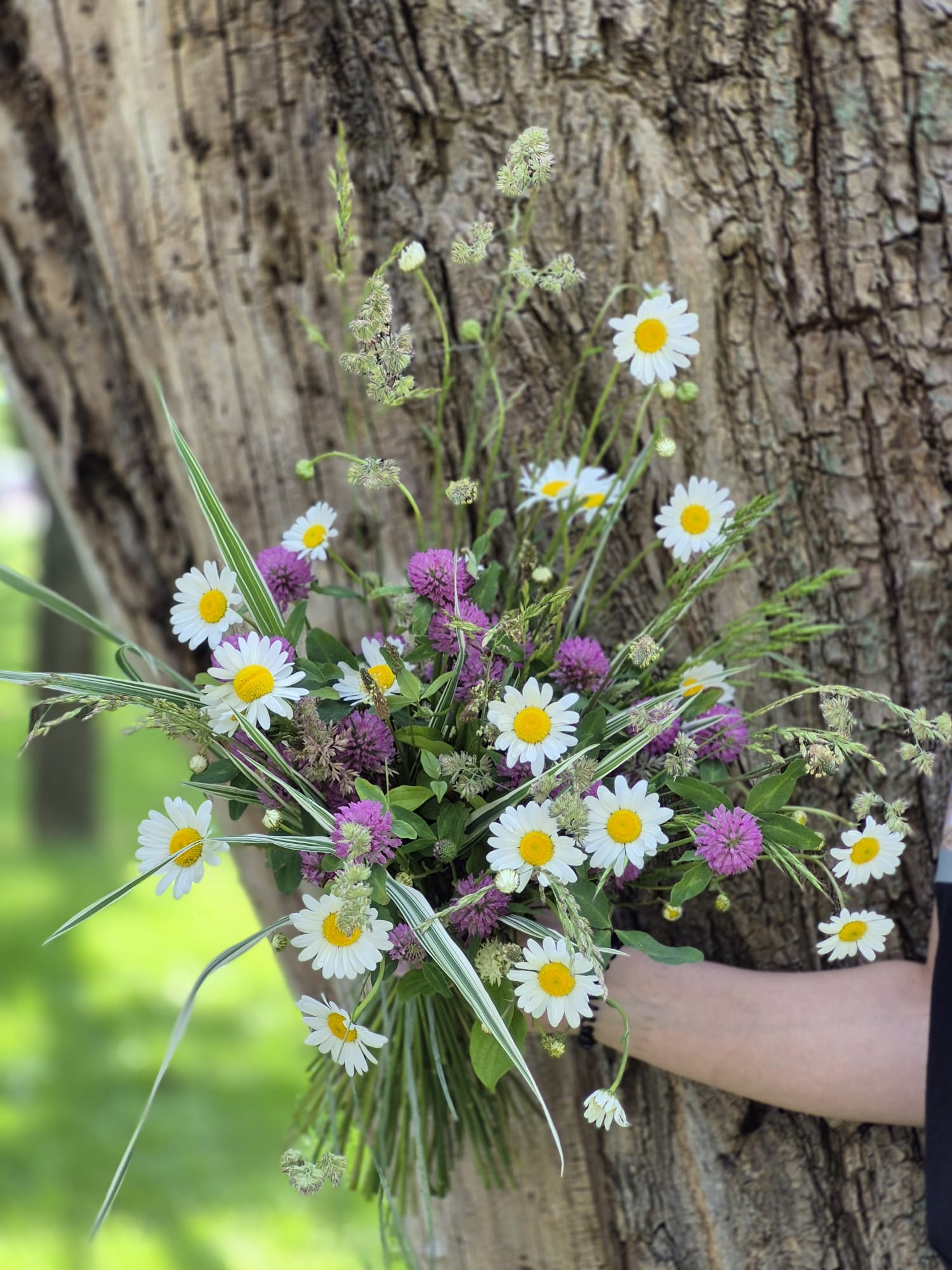 Buchet de margarete și flori sălbatice - Buchete naturale Beclean